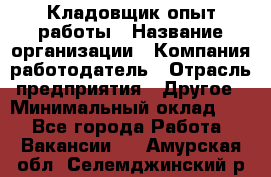 Кладовщик опыт работы › Название организации ­ Компания-работодатель › Отрасль предприятия ­ Другое › Минимальный оклад ­ 1 - Все города Работа » Вакансии   . Амурская обл.,Селемджинский р-н